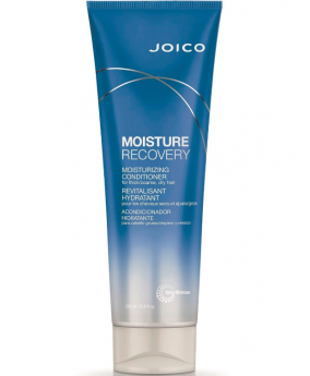 Odżywka nawilżająca do włosów suchych Joico Moisture Recovery Conditioner for Dry Hair