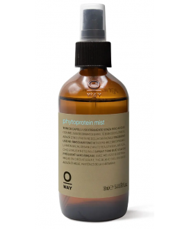 Odżywcza mgiełka z białkiem OWay Daily Act phytoprotein mist, 160ml Odżywcza mgiełka z białkiem OWay Daily Act phytoprotein mist, 160ml