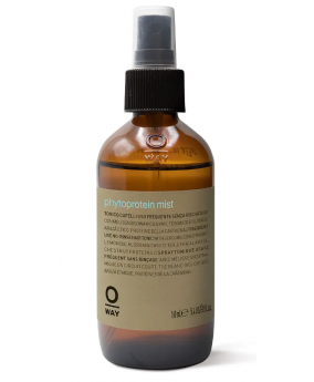 Odżywcza mgiełka z białkiem OWay Daily Act phytoprotein mist, 160ml